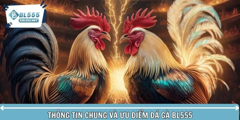 Giới thiệu sảnh đá gà BL555 với các thông tin cơ bản kèm ưu điểm